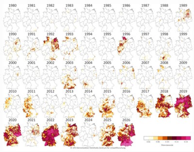 Intensität der Dürre in Deutschland seit 1980 (Juni-August, Gesamtboden bis 2m Tiefe) Quelle: UFZ Helmhotzzentrum für Umweltforschung